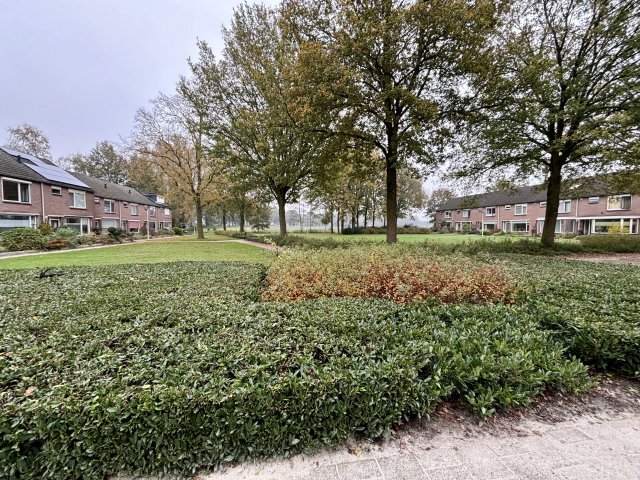 Multatuliplantsoen Hengelo