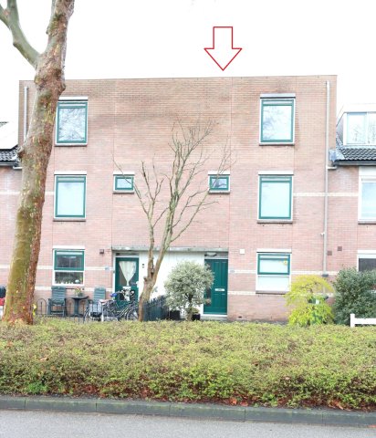 Geel-groenlaan Zoetermeer